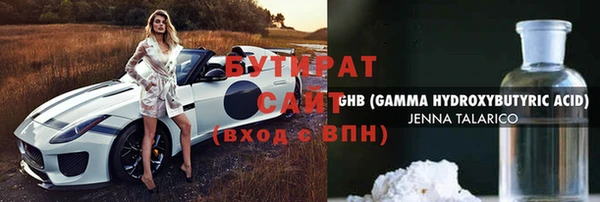 гашик Алексин
