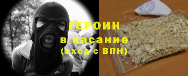 гашик Алексин