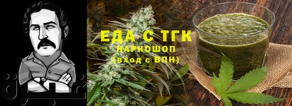 гашик Алексин