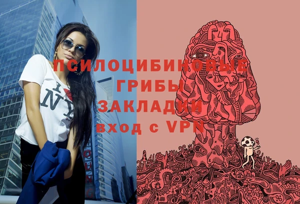 гашик Алексин