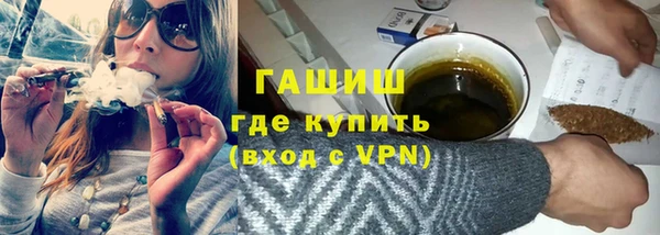 гашик Алексин