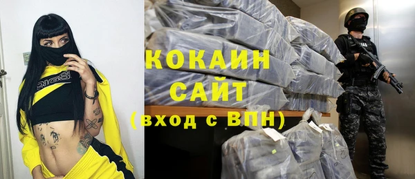 гашик Алексин