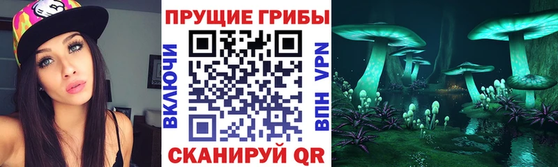 Галлюциногенные грибы GOLDEN TEACHER  где можно купить наркотик  Яблоновский 